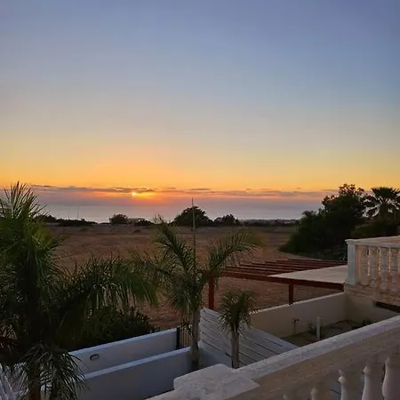 Elderflower #10 * Peyia