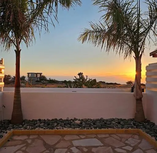 Elderflower #10 * Pegeia