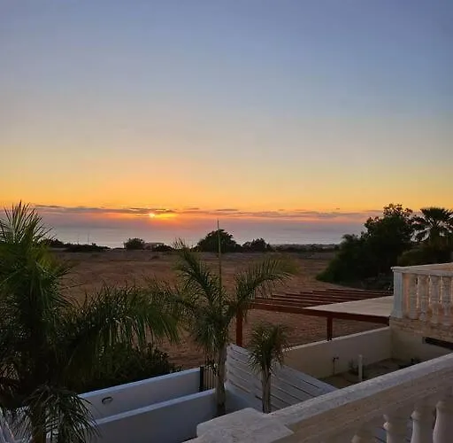 Elderflower #10 * Pegeia